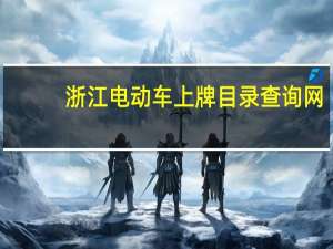 浙江电动车上牌目录查询网（上海电动车上牌目录查询）