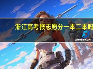 浙江高考报志愿分一本二本吗