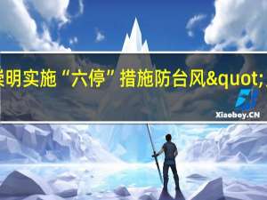 浦东、金山、奉贤、崇明实施“六停”措施 防台风"贝碧嘉"强化应急响应