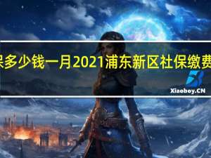 浦东新区社保多少钱一月　2021浦东新区社保缴费基数及比例一览表