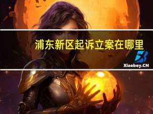 浦东新区起诉立案在哪里