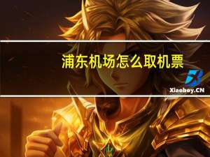 浦东机场怎么取机票
