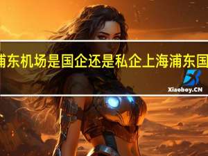 浦东机场是国企还是私企 上海浦东国际机场