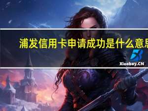 浦发信用卡申请成功是什么意思