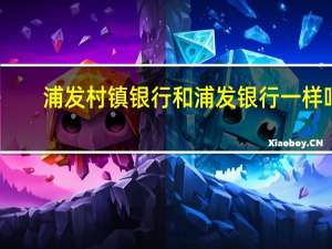浦发村镇银行和浦发银行一样吗