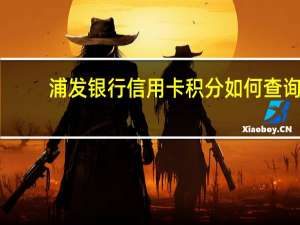 浦发银行信用卡积分如何查询