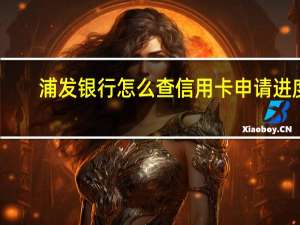 浦发银行怎么查信用卡申请进度（上海银行信用卡申请进度在怎么查）