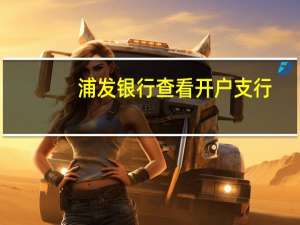 浦发银行查看开户支行（浦发银行开户支行怎么查询）