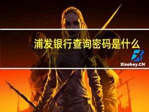 浦发银行查询密码是什么