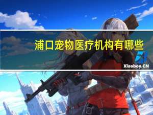 浦口宠物医疗机构有哪些