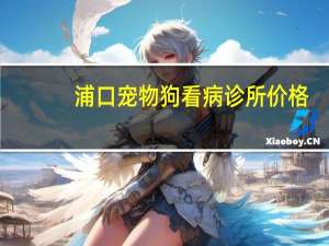 浦口宠物狗看病诊所价格