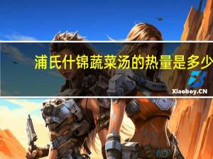 浦氏 什锦蔬菜汤的热量是多少