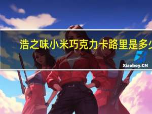 浩之味 小米巧克力卡路里是多少