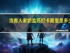 浩客人家 奶盐苏打卡路里是多少