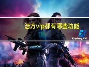 浩方vip都有哪些功能（浩方vip）