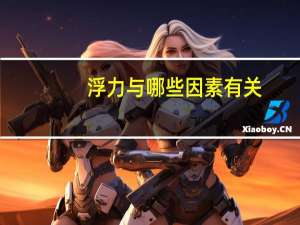 浮力与哪些因素有关
