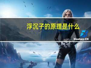 浮沉子的原理是什么