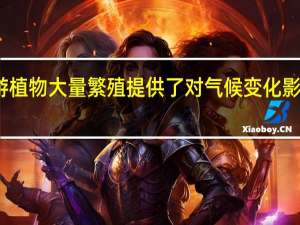 浮游植物大量繁殖提供了对气候变化影响的见解