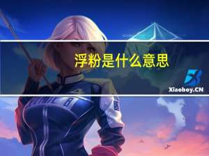 浮粉是什么意思