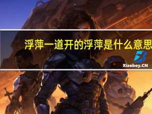 浮萍一道开的浮萍是什么意思