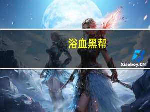 浴血黑帮（关于浴血黑帮的介绍）