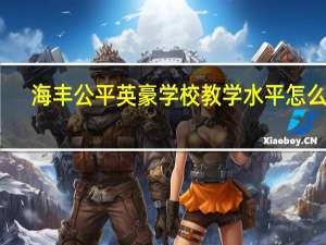 海丰公平英豪学校教学水平怎么样