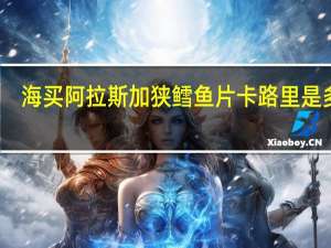 海买 阿拉斯加狭鳕鱼片卡路里是多少