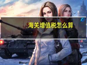 海关增值税怎么算
