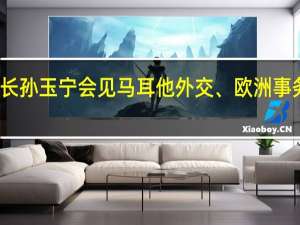 海关总署副署长孙玉宁会见马耳他外交、欧洲事务和贸易部部长博奇