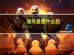 海关是管什么的
