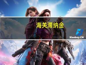 海关滞纳金