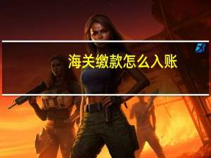 海关缴款怎么入账