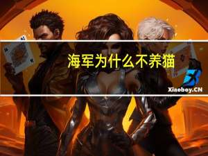 海军为什么不养猫