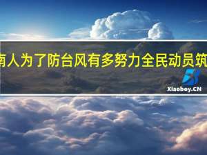 海南人为了防台风有多努力 全民动员筑安全防线