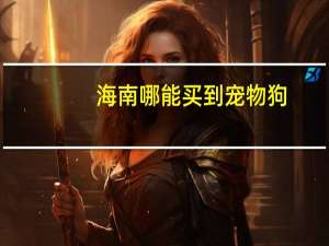 海南哪能买到宠物狗
