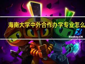 海南大学中外合作办学专业怎么样