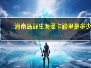 海南岛 野生海藻卡路里是多少