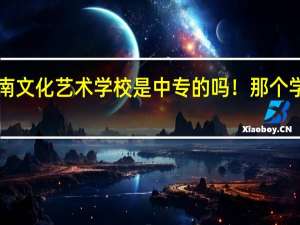 海南文化艺术学校是中专的吗！那个学校好吗！