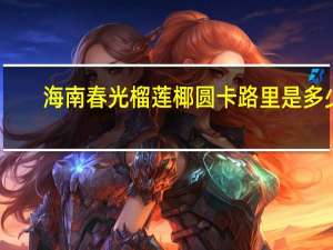 海南春光 榴莲椰圆卡路里是多少