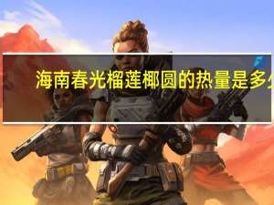 海南春光 榴莲椰圆的热量是多少