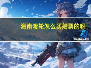 海南渡轮怎么买船票的呀