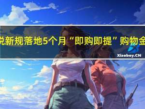 海南离岛免税新规落地5个月“即购即提”购物金额超14亿元