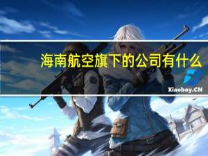 海南航空旗下的公司有什么