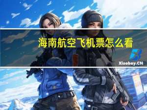 海南航空飞机票怎么看