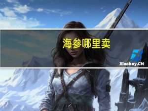 海参哪里卖
