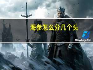 海参怎么分几个头