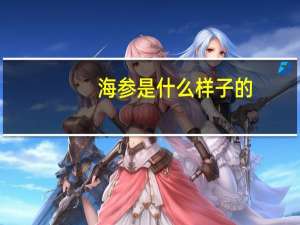 海参是什么样子的