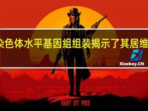 海参的染色体水平基因组组装揭示了其居维叶器官的细节