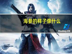 海参的样子像什么