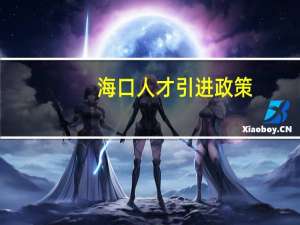 海口人才引进政策